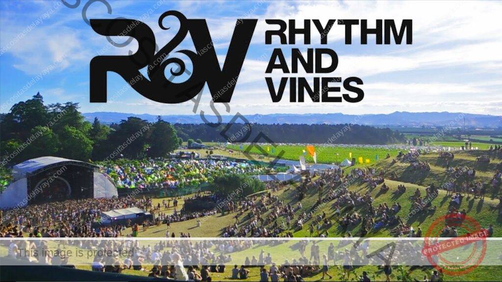 Rhythm and Vines Festival 🇳🇿 🎼